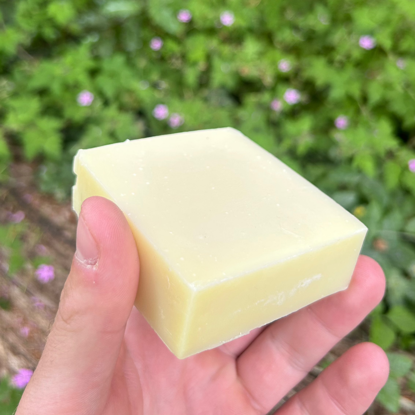 Tallow Shampoo Bar