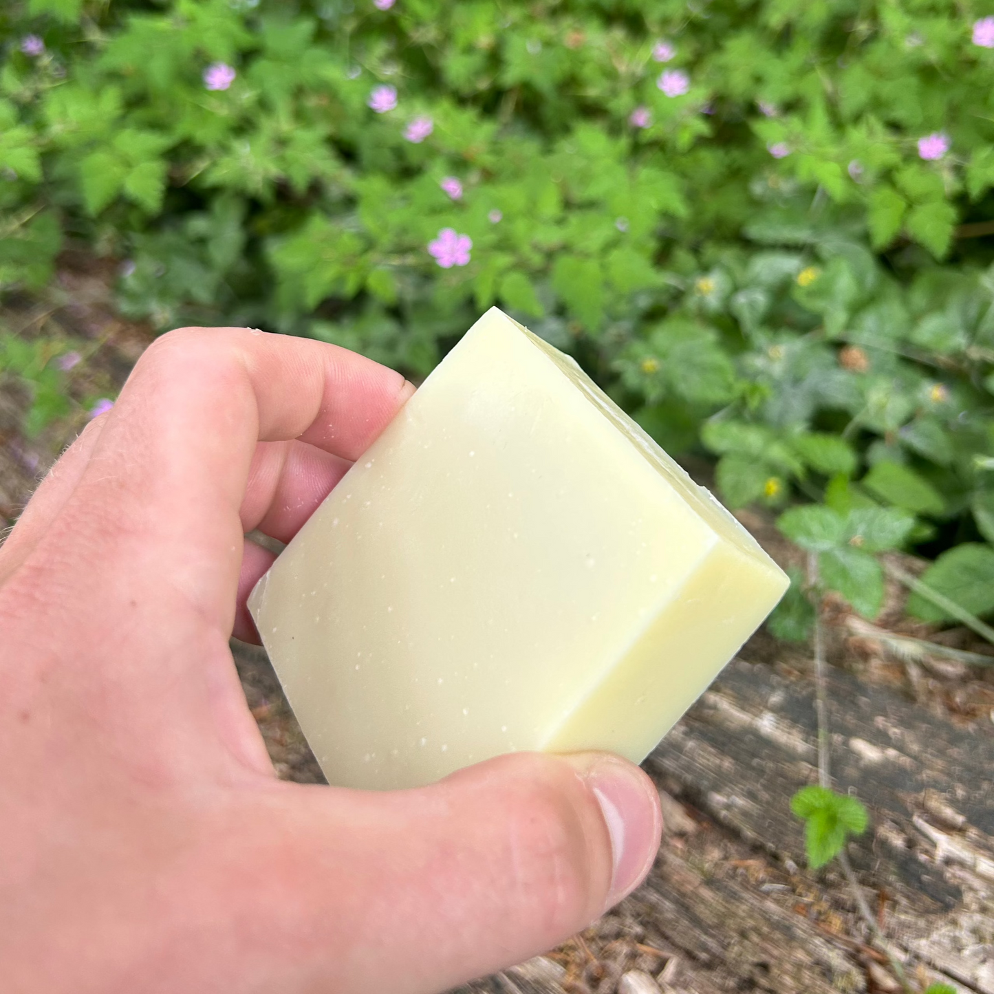 Tallow Shampoo Bar